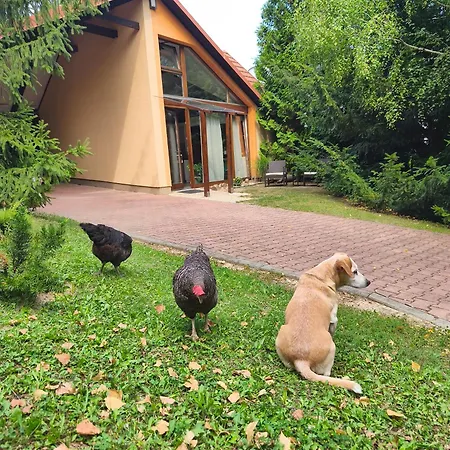Casa vacanze Nature House *