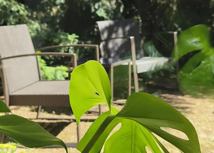 Nature House Austerlitz