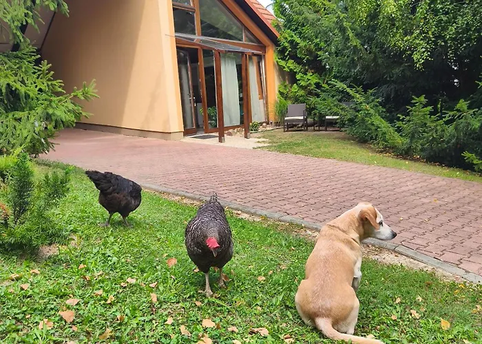 Ferienhaus Nature House *
